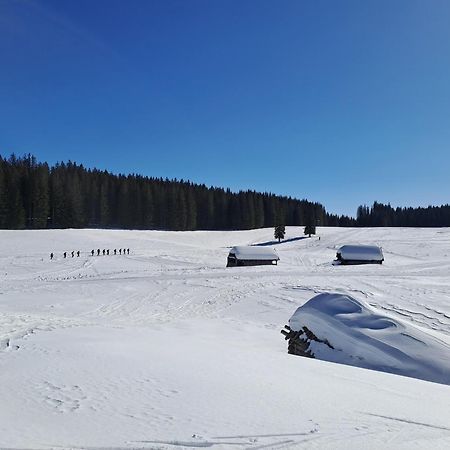 Villa Pokljuka Zgornje Gorje ภายนอก รูปภาพ
