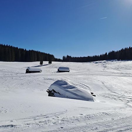 Villa Pokljuka Zgornje Gorje ภายนอก รูปภาพ