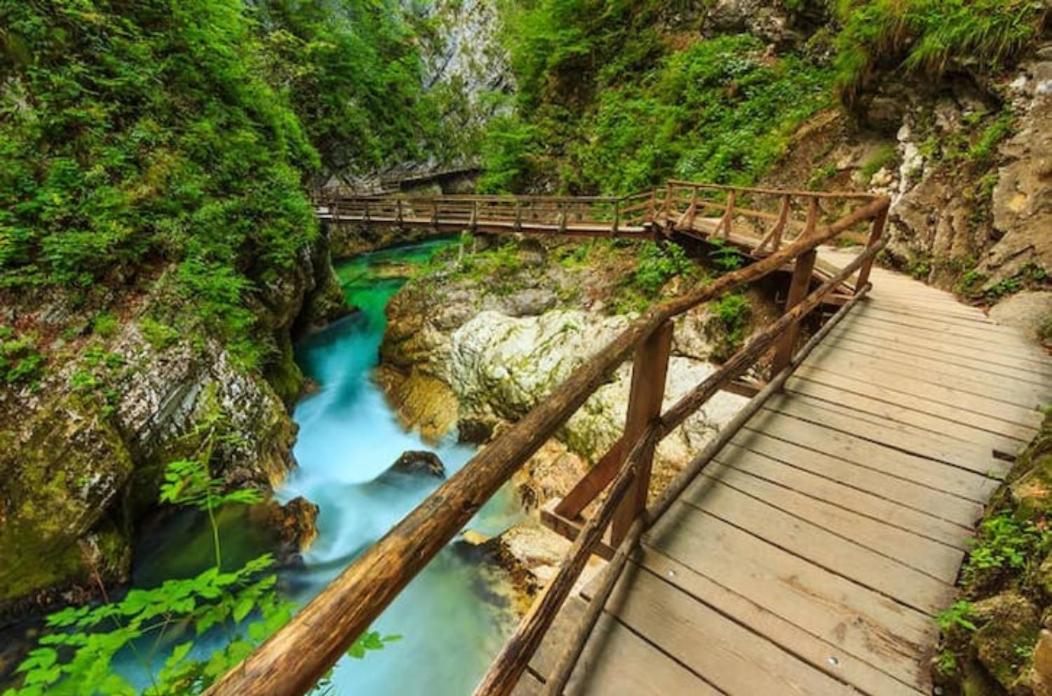 Villa Pokljuka Zgornje Gorje ภายนอก รูปภาพ