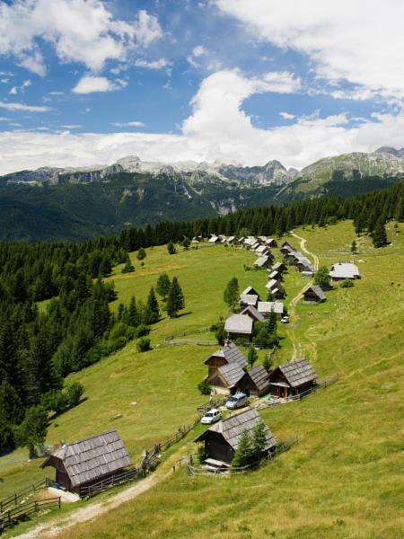 Villa Pokljuka Zgornje Gorje ภายนอก รูปภาพ