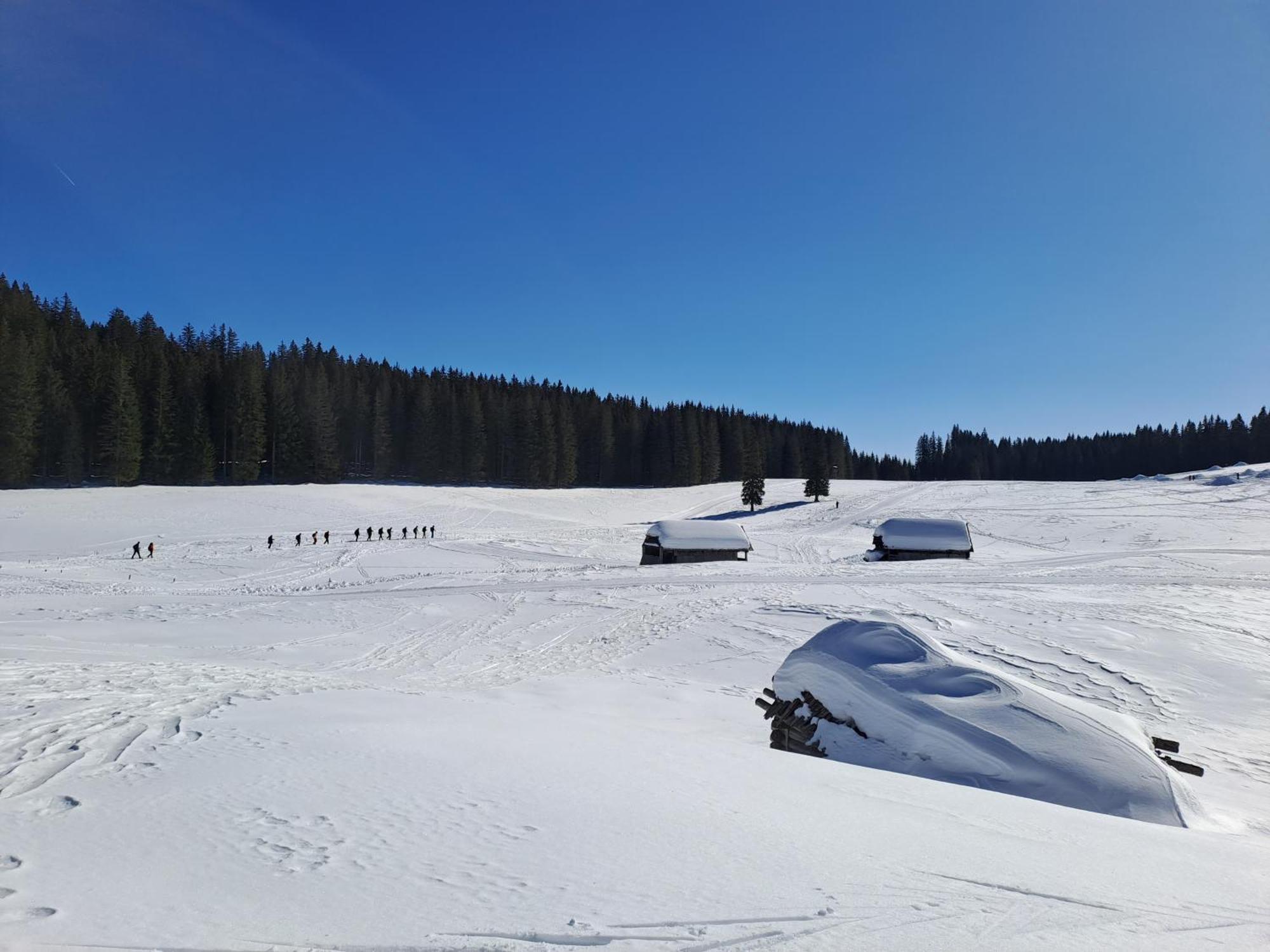 Villa Pokljuka Zgornje Gorje ภายนอก รูปภาพ
