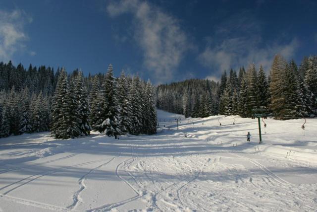 Villa Pokljuka Zgornje Gorje ภายนอก รูปภาพ