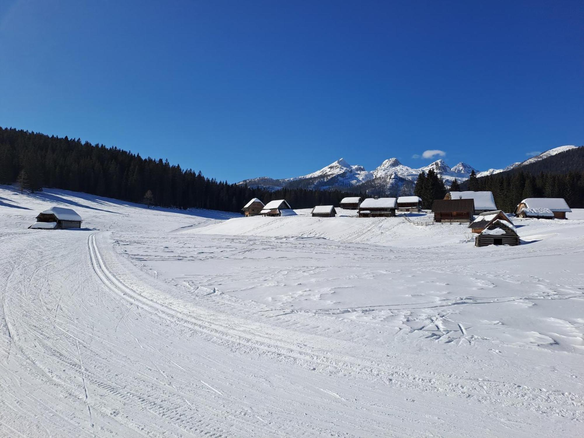 Villa Pokljuka Zgornje Gorje ภายนอก รูปภาพ